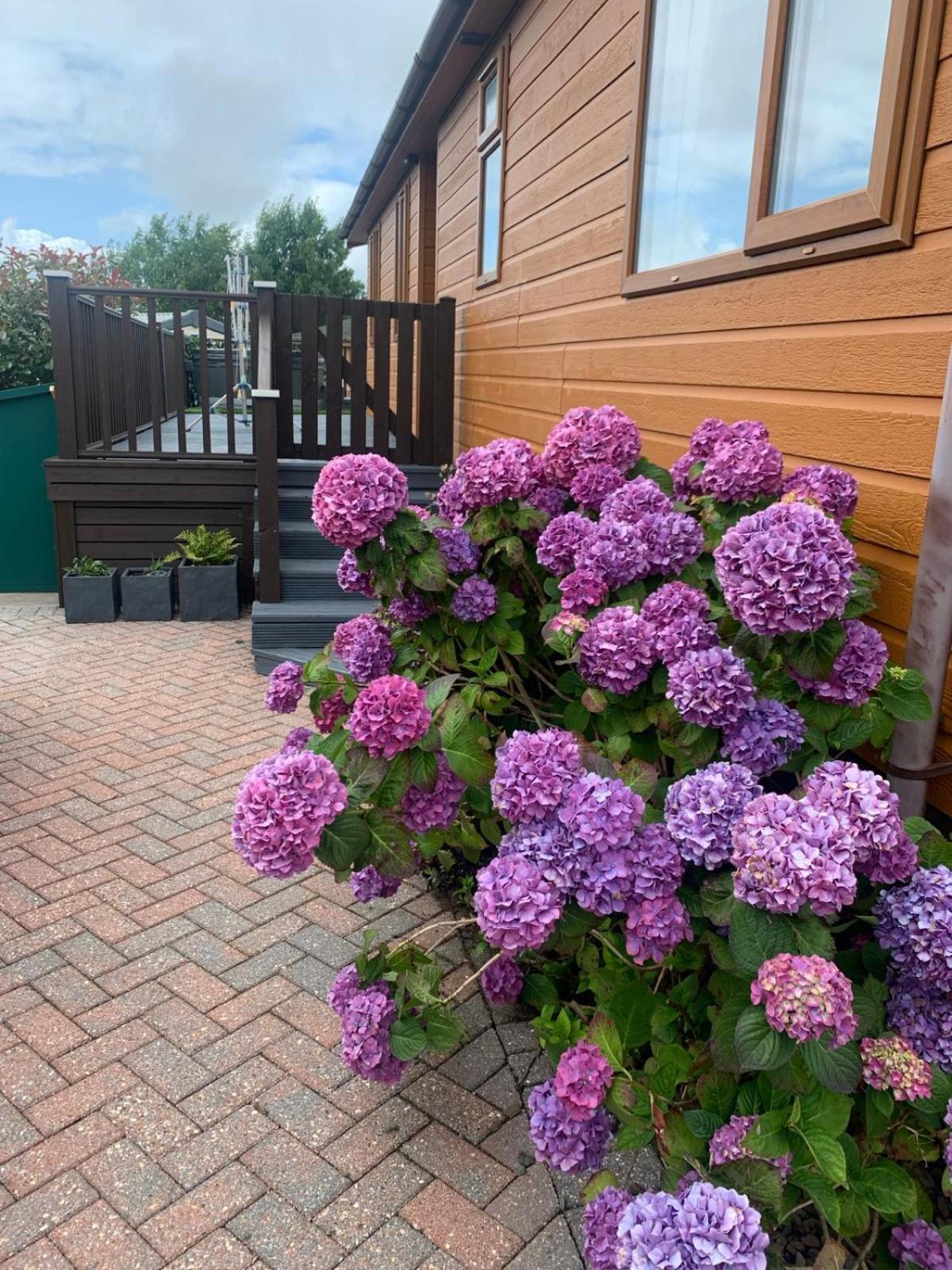 23 Ocean View With Hot Tub Available As An Additional Add On * Ilfracombe